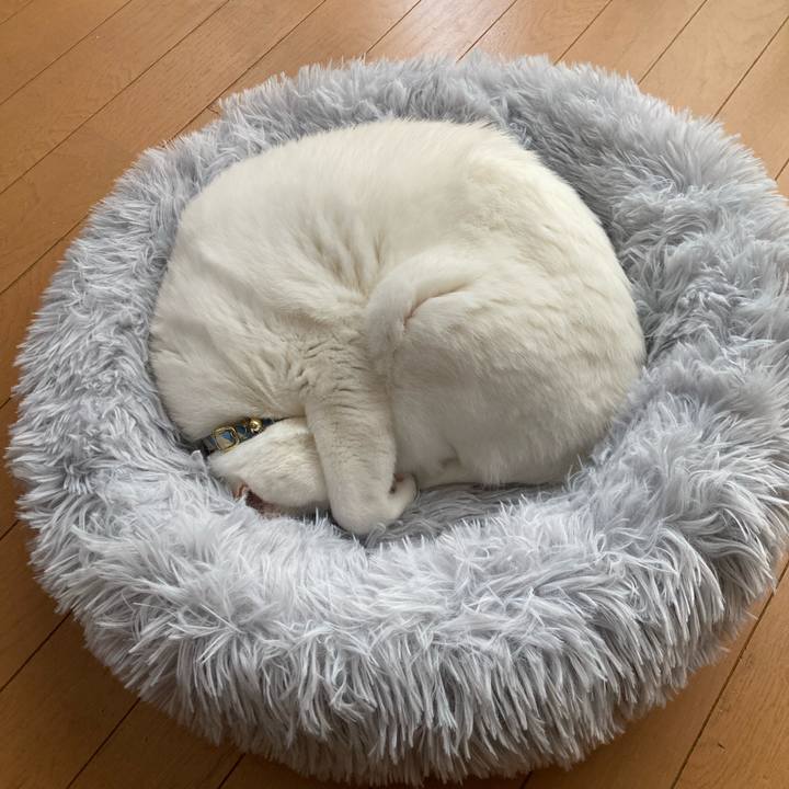 8fd5f8c9 334c 4ce4 8f15 4eba0e3ff396 1773388318570