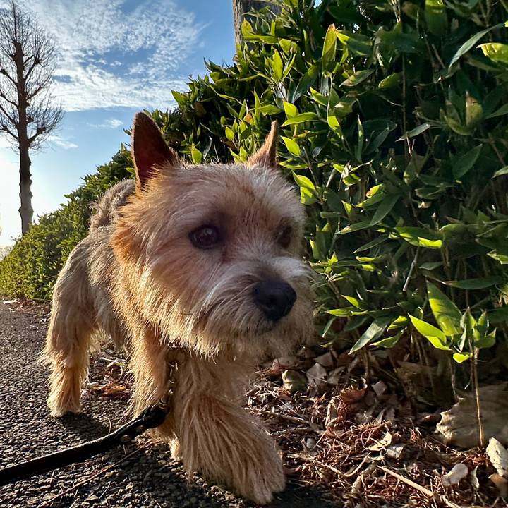 8fd612dc d685 419a b253 4d7c4e821e67 1743984411565