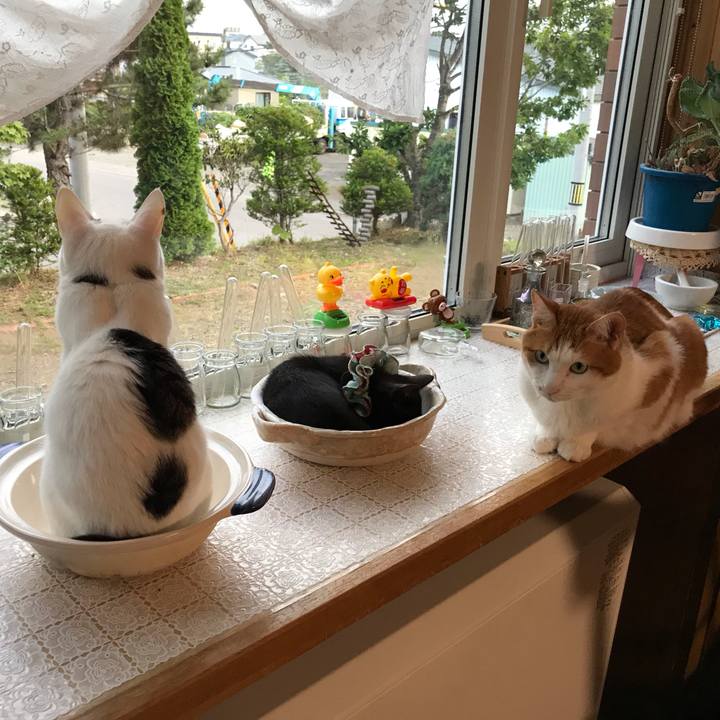 8fd62973 bc89 432a 9174 617af94011a3 1563528986331