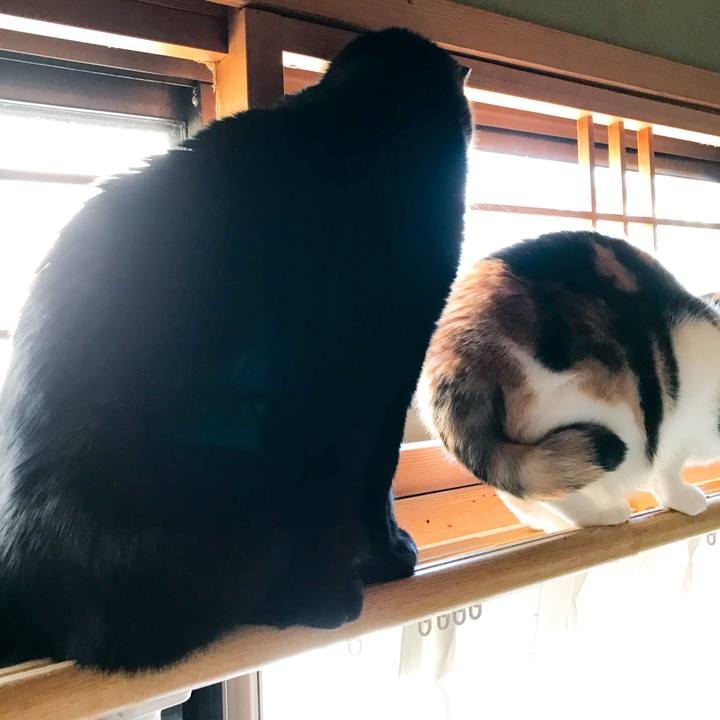 8fd64b42 cc36 412c 9156 c22252e44b12 1518826004406