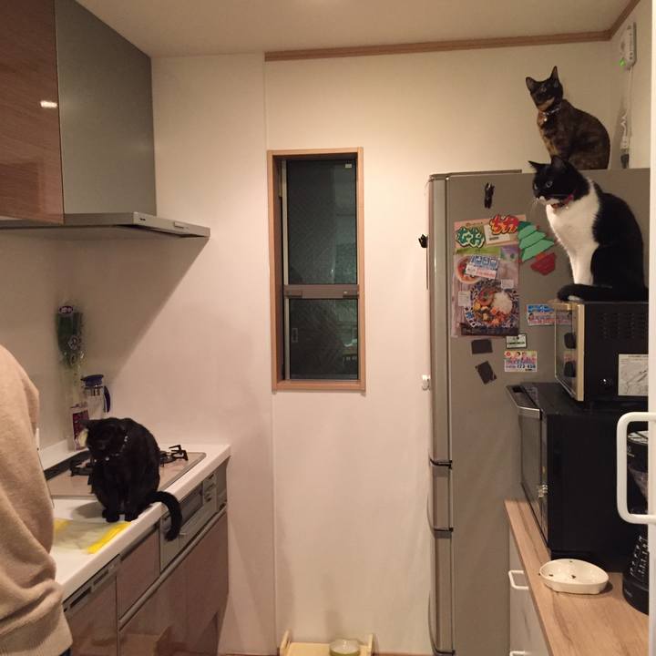 8fd66f34 4621 4bbd aa77 32aee107f2db 1510790433312