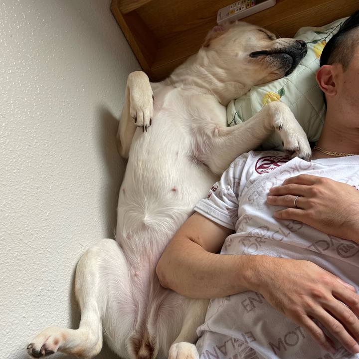 8fd6a683 9b04 4935 b36d 24d773569a60 1692523414427