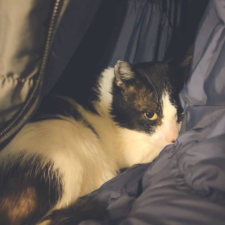 8fd6b1c6 0d8e 4b6f 803e 9b0871087a60 1644846250733