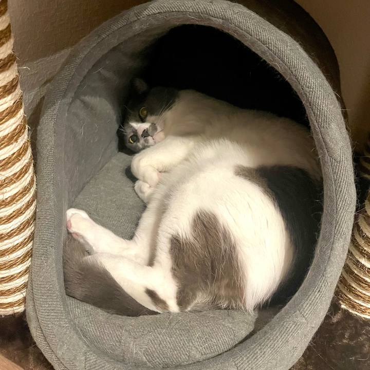 8fd6b497 39a8 4883 8c76 58c08809421d 1667041599355