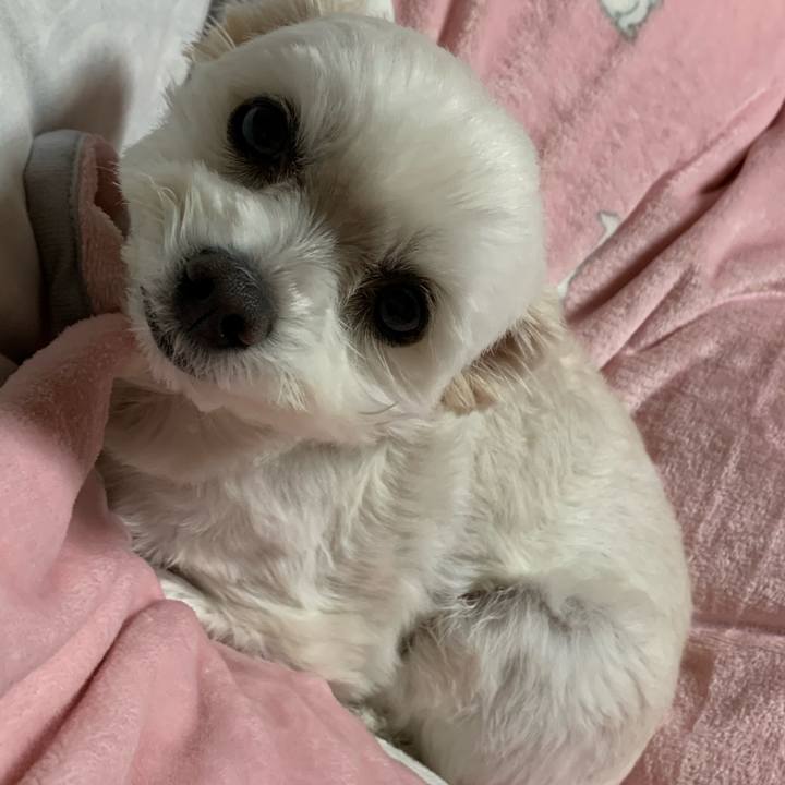 8fd6cf95 32cd 4482 abaf 0b43b7c07940 1574766123774