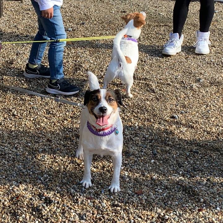 8fd70f5c 6e2a 4797 a99d b5e8c1a7a3e7 1574497365472