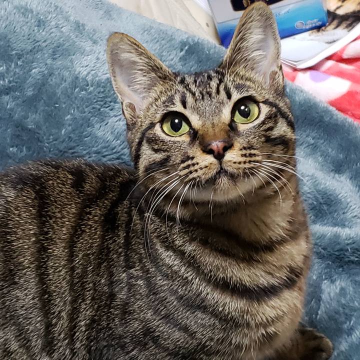 8fd71a31 5194 4842 81db 2f5cb9f3c198 1547803478450