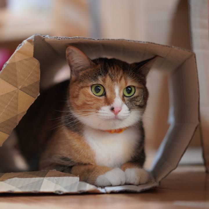 8fd71d04 798d 4639 b802 993cb754c1b7 1628939622504