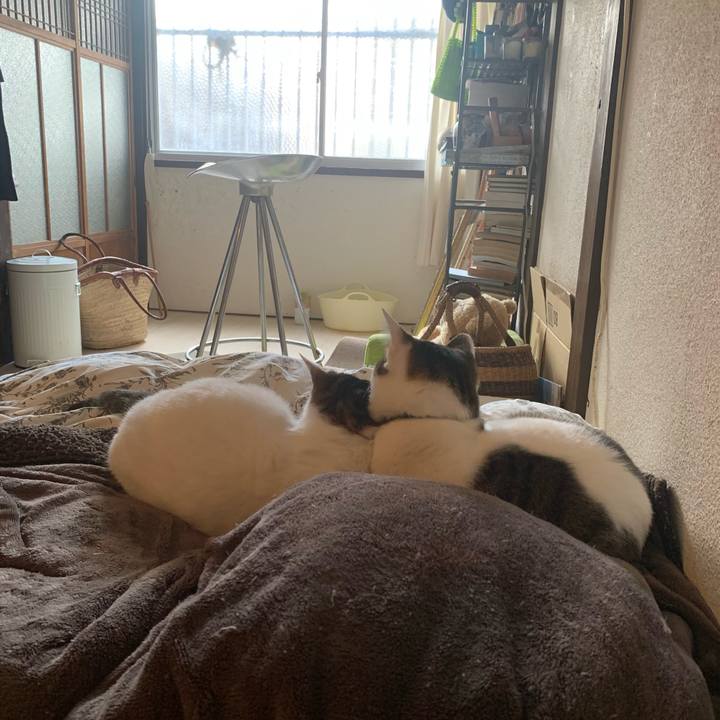 8fd73162 d4eb 463a 917b 293c774741ed 1642871383780