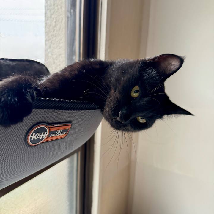 8fd73b3b a6b0 4249 8883 591405c7e48e 1759796513635