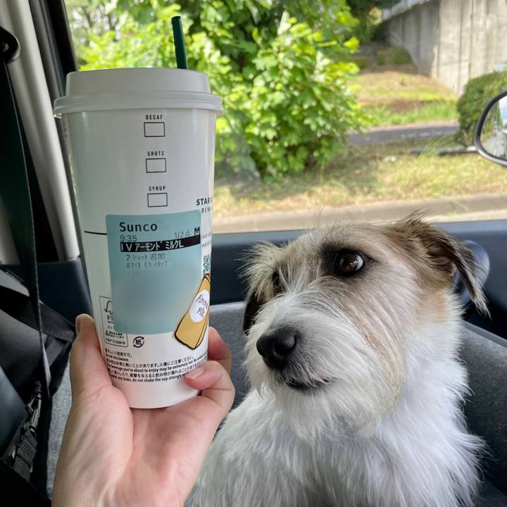 8fd75c38 8db0 4baf aaaf ff11684312ee 1691389988367