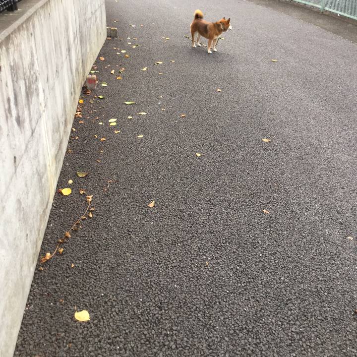 8fd77a34 beb5 42b0 96c0 dca91a7498d2 1566636004617