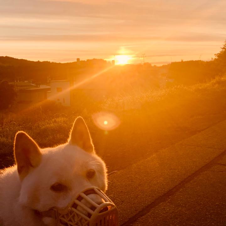 8fd77ab6 e62f 44f1 aa84 60aab12ef5c2 1566335971949