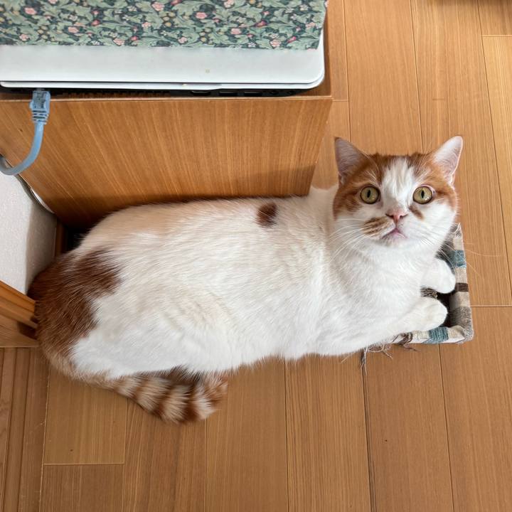 8fd783ec 3cee 428d a5ff 87fba391641f 1764901416173