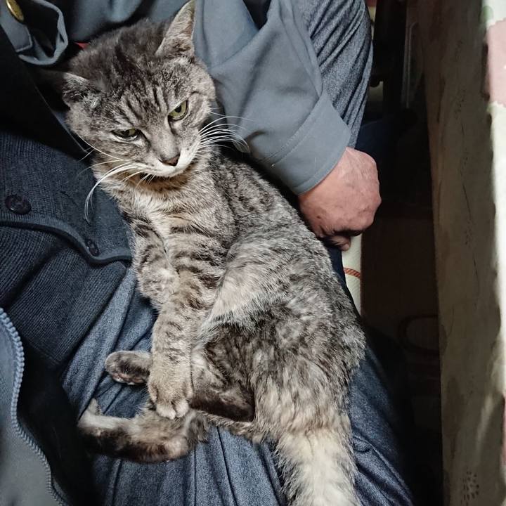 8fd7950a 6a6f 47d3 9544 d4c407b5ca1a 1579567815159