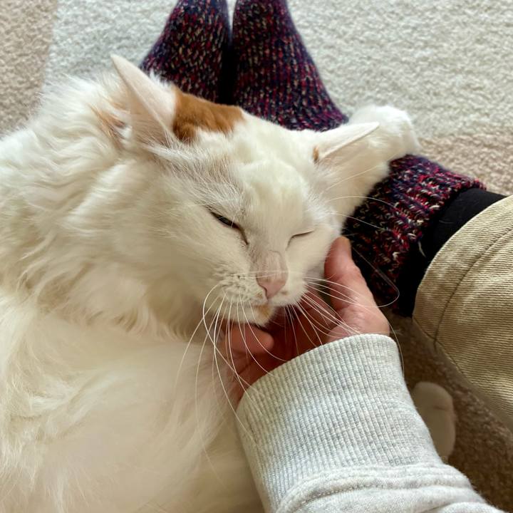 8fd7a27b 5f4b 4ee1 bf66 fcb8bf290a04 1771213035569