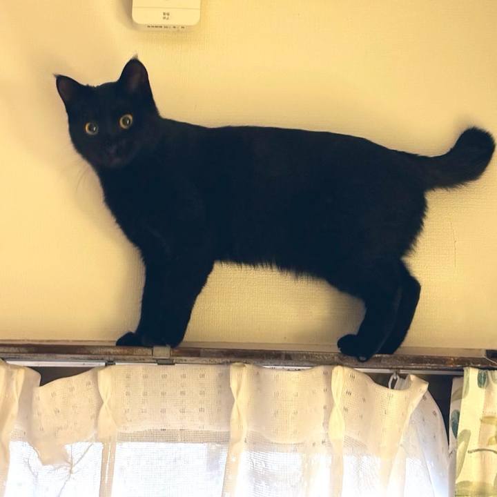 8fd7b809 4c2e 48c3 b2dc f7fd134c864b 1737018768696