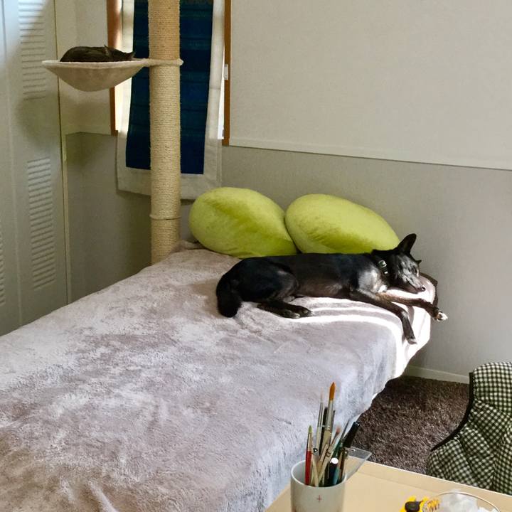 8fd7c20c 575a 4742 a38f 9e2233de7174 1539754681745