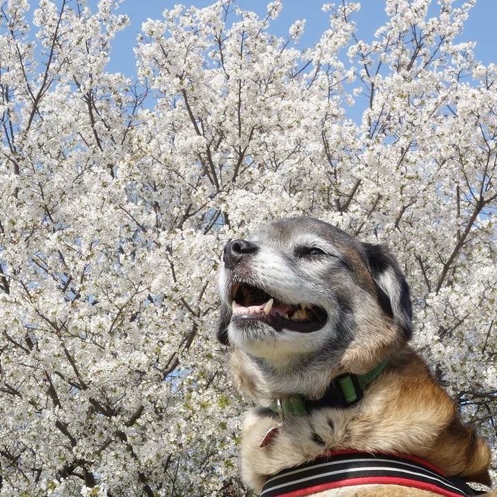 8fd7e3af 9734 4084 8a1b 79f9e0dc4d31 1648861695406