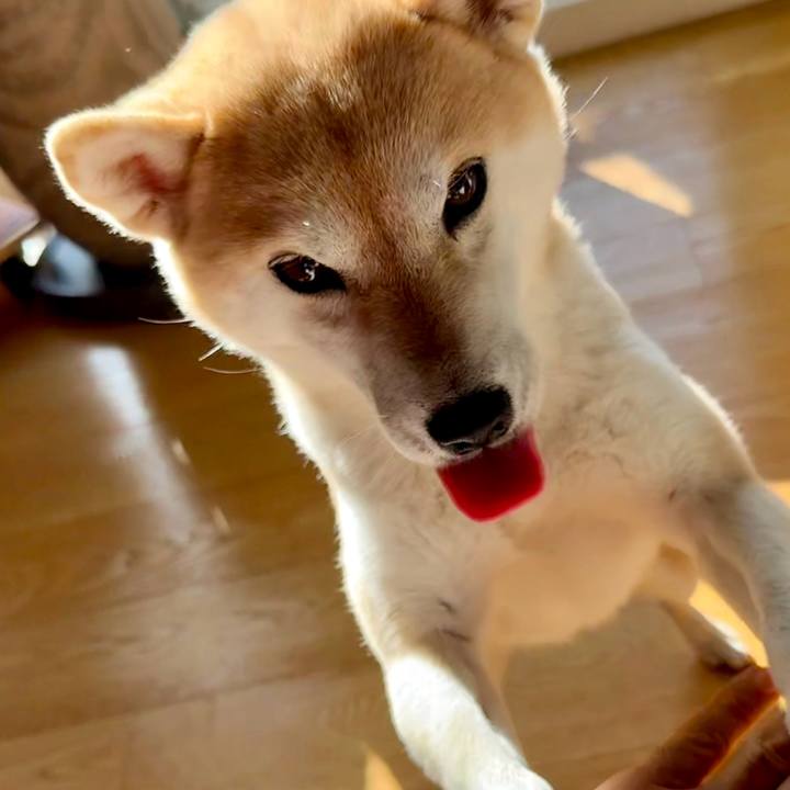 8fd80240 72a0 447f 8dc9 96663bf5c240 1766292562732