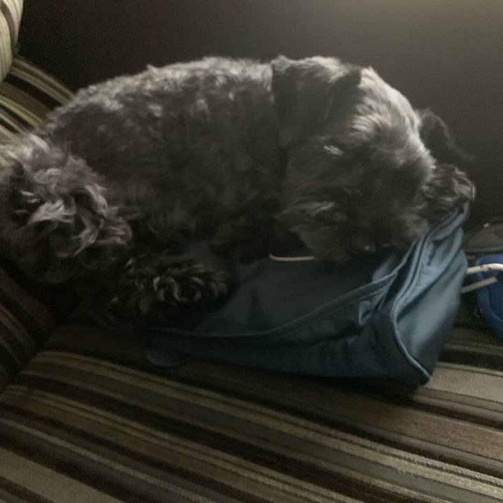 8fd81df9 b858 4447 93fc f7512066a9a7 1625550671507