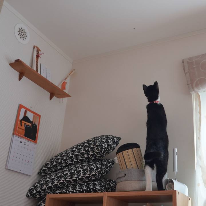 8fd83388 53b2 4912 9bba bb33caae60f6 1595771343343