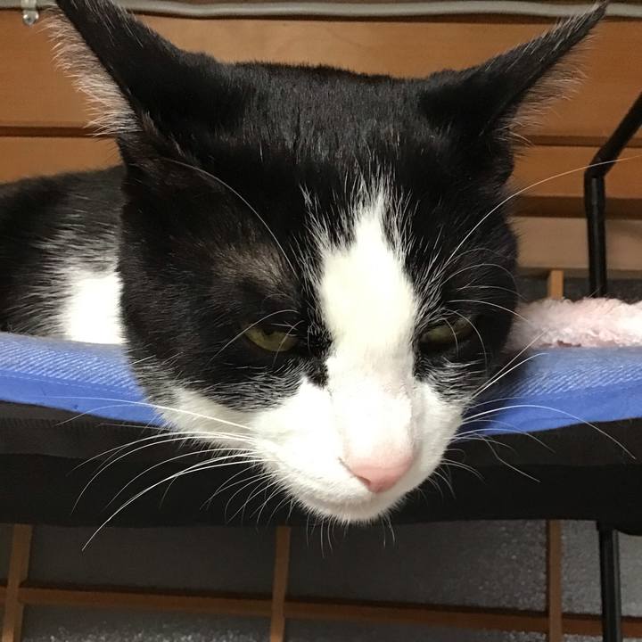 8fd83850 7a36 41e4 9d9f 71fc24595476 1715764512804