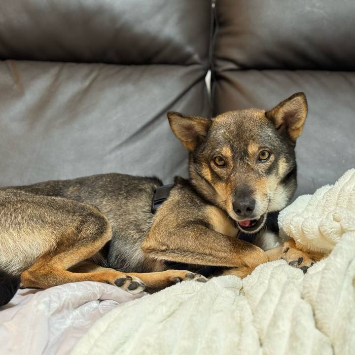 8fd858f9 492f 46d9 a468 fc4b0ea08024 1766621648296