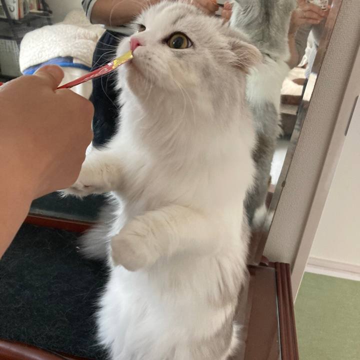 8fd8755a 9986 4683 9b7c df7734f83c0e 1604749203613