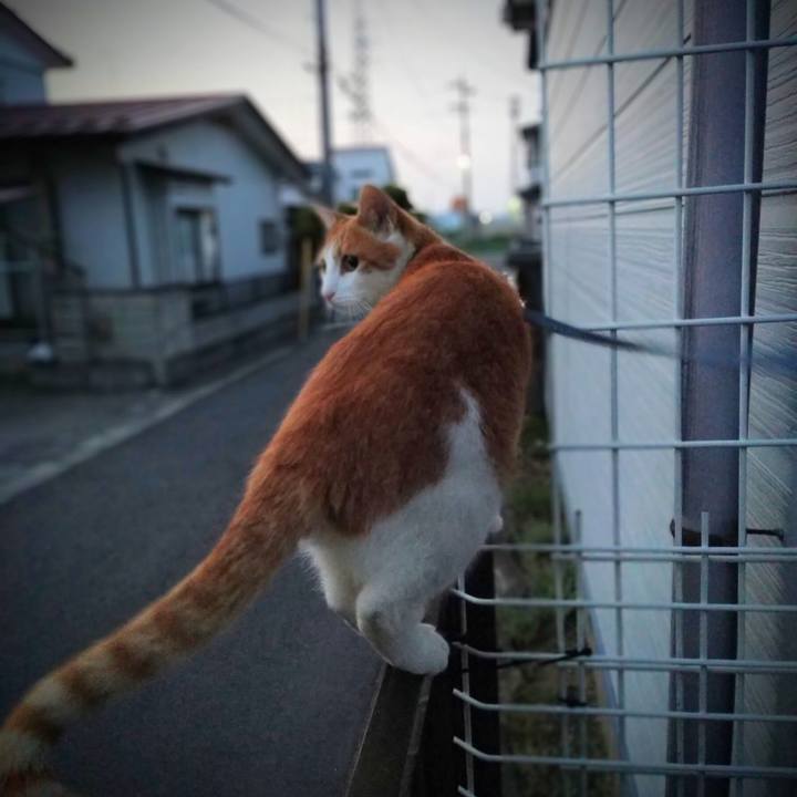 8fd878a1 c79d 49f8 9cc4 a04c59d163c2 1527595374981