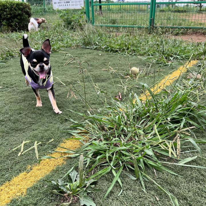 8fd8879e 6c07 41f2 bacc ddba283653c9 1727844802769