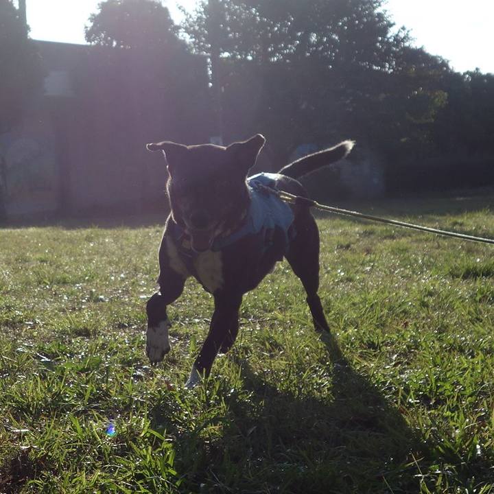 8fd89244 43ca 43c9 80ec 7366bea034cf 1635381294814