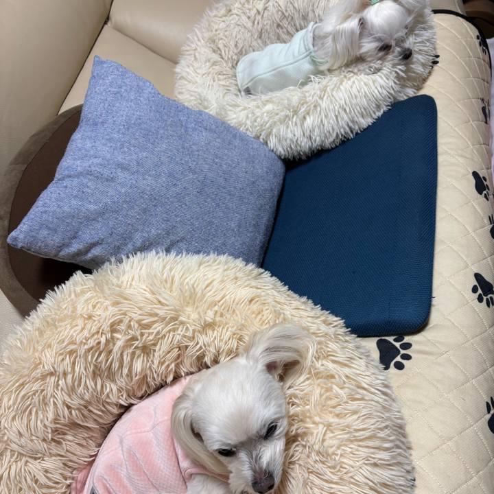 8fd89dd3 0ab0 4576 929a 2db376107a26 1771404986284