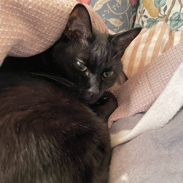 8fd8c552 fc02 4222 9013 8a32d7f1f4c7 1767578311679