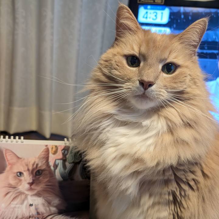 8fd8d8f3 72d8 48a9 81be 6d3df7c1332a 1767339280203