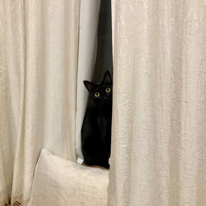 8fd8ff00 3b1a 422a a8c6 7425e9879a3a 1575973411759