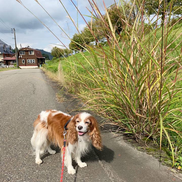 8fd914b8 d08f 47d3 ab40 d3a79c6d6c31 1570248234385