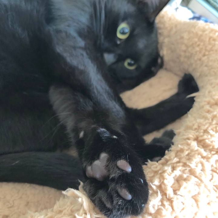 8fd91a71 cb9c 42a7 ad76 9ae5bd3b3917 1540829098737