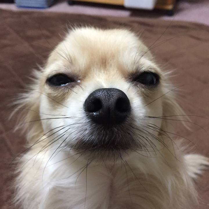 8fd927e4 2b6a 4a25 8187 2a4c0556e23e 1512774635784