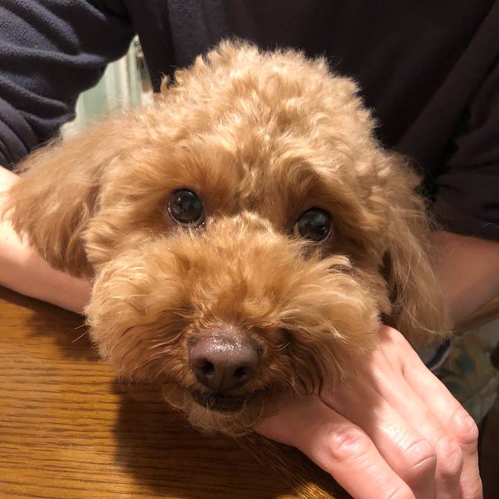 8fd936dc 7c68 44c9 ab71 14c4d8412f56 1520159077440