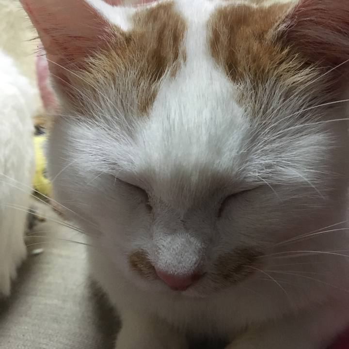 8fd9390c 4eca 45eb ade2 5c70e7be7a71 1550417020281