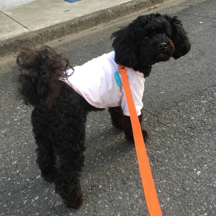 8fd97c12 090b 4bc4 8447 932ea36fca13 1525540894854