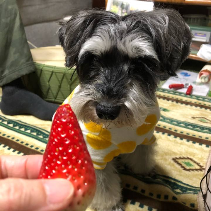 8fd990fa 3049 43ec ade5 2adf399bacb1 1645540812576