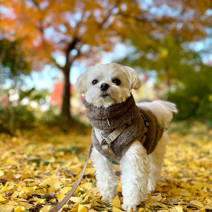 8fd9d59c 919c 4ee9 b908 20ff6623d959 1764496120484