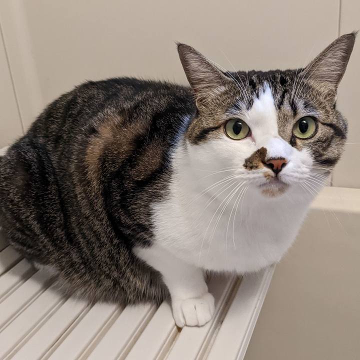 8fda134d ac43 4478 8332 2c498750e1f4 1667094882155