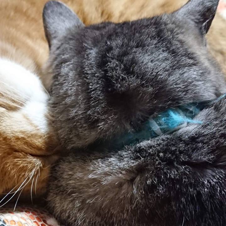 8fda7597 83d6 4285 a802 b46cb1ed68cf 1606475991677