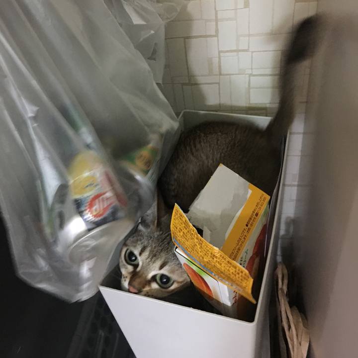 8fdaafa0 3514 4dcd 872d 58db63500559 1513339287317