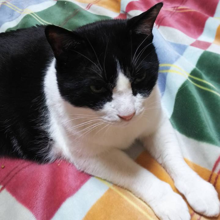 8fdada4e ffc3 4190 8001 fa443f014011 1555807241559