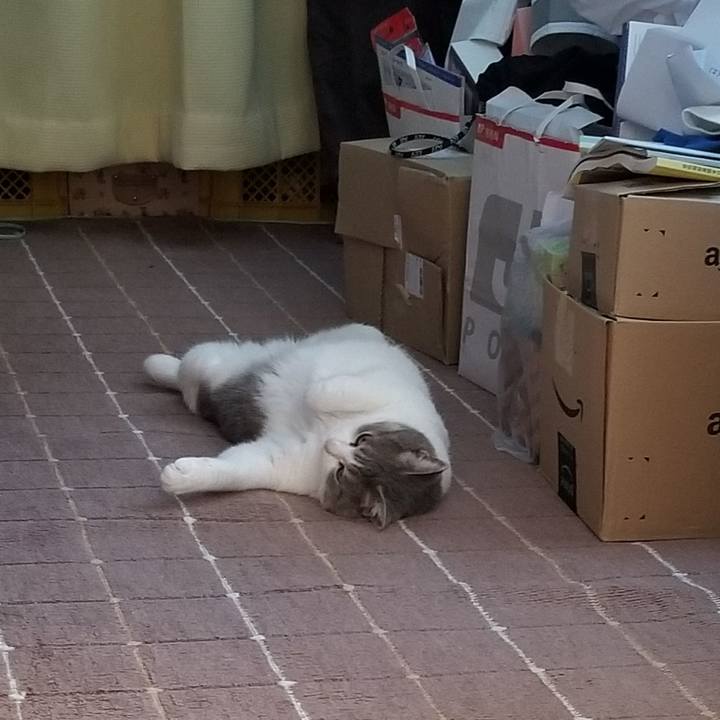 8fdb6535 0f61 47ea b9a8 5c87f1c5128b 1690546660440