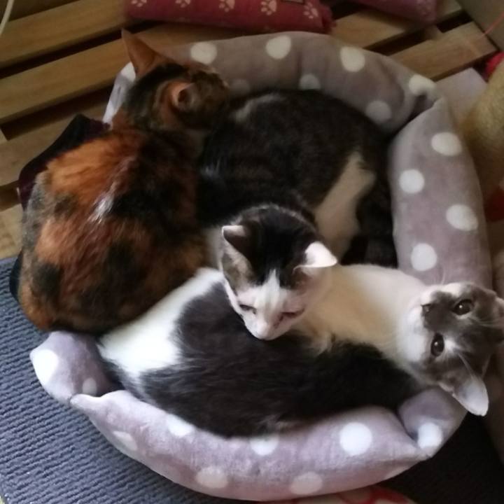 8fdb6bcd 95cf 4cce a5a7 5c37bc0800cd 1512574211771